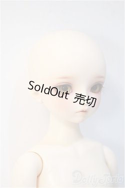 画像2: SDM女の子/F-52　コーディネートモデル Y-24-12-04-290-NY-ZY