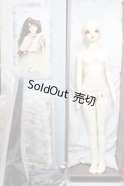 画像5: SDGIRL/リーゼロッテ the Best of the Bests Ver.2019 A-24-05-15-300-NY-ZA