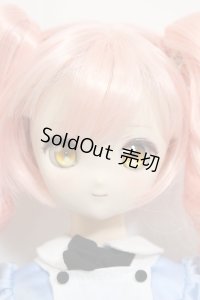 MDD/ドリームチョイス：DC-H-17(M03メイク) A-24-05-22-232-NY-ZA
