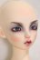 画像4: FairyLand/FeePle60 Sia Full Package (Crow Witch)/ A-25-02-12-308-KD-ZA