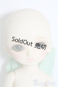 SD/精天使 U-24-06-04-211-NY-ZU