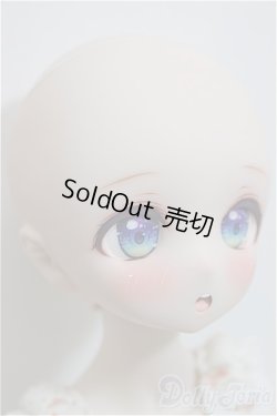 画像4: DDH-01/*きゃらめるらぱん*様カスタム A-24-06-12-201-NY-ZA