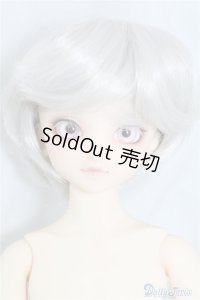 SDM/F-40　フルチョイス U-24-07-02-212-NY-ZU