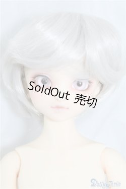 画像1: SDM/F-40　フルチョイス U-24-07-02-212-NY-ZU