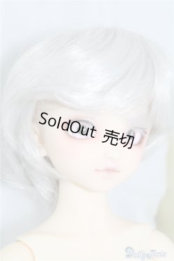 画像2: SDM/F-40　フルチョイス U-24-07-02-212-NY-ZU