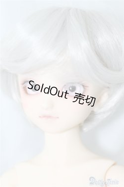 画像3: SDM/F-40　フルチョイス U-24-07-02-212-NY-ZU