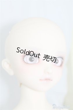 画像6: SDM/F-40　フルチョイス U-24-07-02-212-NY-ZU