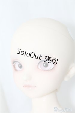 画像7: SDM/F-40　フルチョイス U-24-07-02-212-NY-ZU