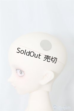 画像9: SDM/F-40　フルチョイス U-24-07-02-212-NY-ZU