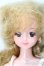画像1: ジェニー/本体・衣装/BJD　球体関節人形 A-25-02-12-426-NY-ZA (1)