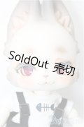 Kani BOOM Doll/旅猫 Maine Coon ver. limited A-24-08-21-102-NY-ZA