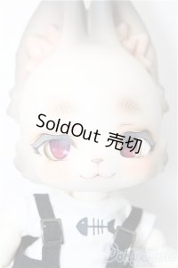 Kani BOOM Doll/旅猫 Maine Coon ver. limited A-24-08-21-102-NY-ZA
