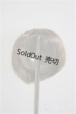 画像1: 4inch/ウィッグ A-25-08-27-291-NY-ZA