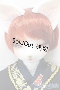 DEAR MINE/DUNE cool ver. 文豪 limited/BJD　球体関節人形 A-25-02-12-319-NY-ZA