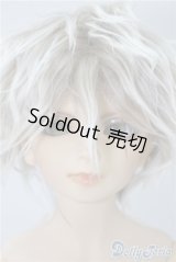 SD13男の子/F-17　フルチョイス U-24-09-03-215-NY-ZU