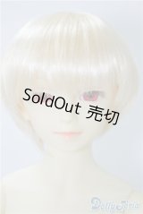 SD13男の子/F-17　フルチョイス U-24-09-03-216-NY-ZU