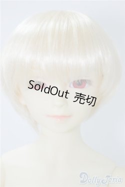 画像1: SD13男の子/F-17　フルチョイス U-24-09-03-216-NY-ZU