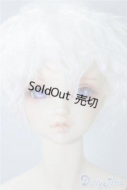 画像1: SDGrB/F-63 U-24-09-03-220-NY-ZU