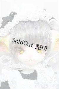DOLK×DOLL ZONE/Miss kitty - 猫メイド ver. Limited A-24-09-18-300-KD-ZA