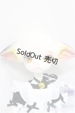 画像2: DOLK×DOLL ZONE/Miss kitty - 猫メイド ver. Limited A-24-09-18-300-KD-ZA