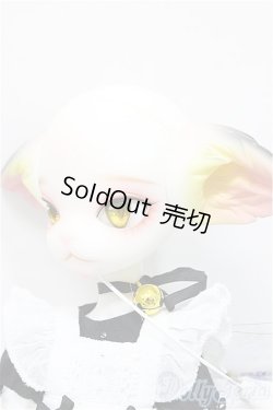 画像4: DOLK×DOLL ZONE/Miss kitty - 猫メイド ver. Limited A-24-09-18-300-KD-ZA
