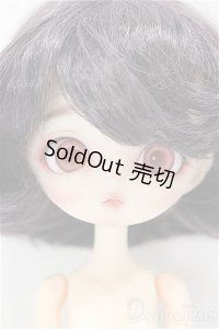 Harmonia bloom/ソメイヨシノ A-24-09-04-351-NY-ZA