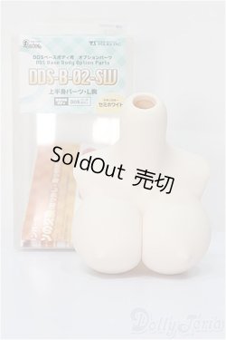 画像1: DDdy/上半身パーツ-寄せ胸  A-24-09-18-219-NY-ZA