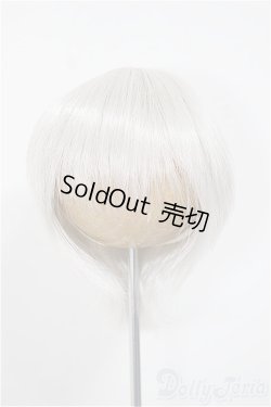 画像1: 8-9inch/ウィッグ/インチ　BJD　MJD　ドール用 A-25-08-13-125-NY-ZA