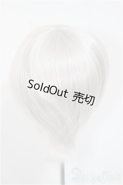 画像2: 8-9inch/ウィッグ/インチ　BJD　MJD　ドール用 A-25-08-13-125-NY-ZA