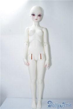 画像5: SD13女の子/F-54 フルチョイス/オーダーメイク U-24-10-08-219-NY-ZU