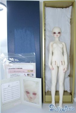 画像7: SD13女の子/F-54 フルチョイス/オーダーメイク U-24-10-08-219-NY-ZU