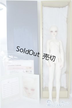 画像7: SD13女の子/F-54　フルチョイス/オーダーメイク U-24-10-08-219-NY-ZU