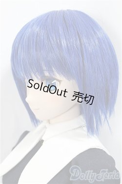 画像3: DD/シエル　月姫 -A piece of blue glass moon- A-24-10-02-352-NY-ZA