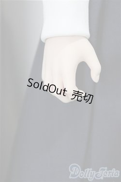 画像6: DD/シエル　月姫 -A piece of blue glass moon- A-24-10-02-352-NY-ZA