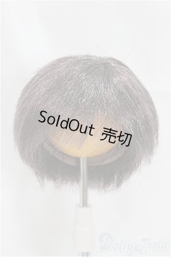 画像1: 7-8inch/ウィッグ/インチ　BJD　MJD　ドール用 A-25-08-06-365-NY-ZA