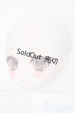 画像2: DD/DDH-01:カスタムヘッド S-25-11-02-498-NY-ZS