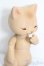 画像3: cocoriang/Mocka S-25-04-13-586-NY-ZS