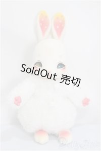 COCORIANG/Tobi [Limited Harvest Moon] ＊Smilingヘッドタイプ /BJD　球体関節人形 A-24-10-30-252-NY-ZA