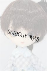 ハルモニアブルーム　Harmonia bloom /ユリ A-24-11-06-253-NY-ZA