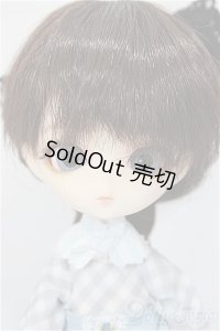 ハルモニアブルーム　Harmonia bloom /ユリ A-24-11-06-253-NY-ZA