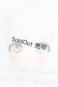 DD/DDH-27:カスタムヘッド/BJD　球体関節人形 A-24-11-13-177-NY-ZA
