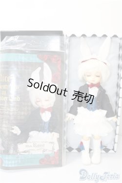 画像9: 幼SD男の子/ホワイトラビット Sweet Dream ver. U-24-11-26-213-NY-ZU