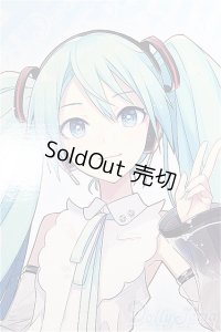 DD/初音ミク NT/ A-24-12-04-161-NY-ZA
