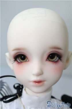 画像2: SD女の子/F-85　ワンオフモデル U-24-12-10-220-NY-ZU