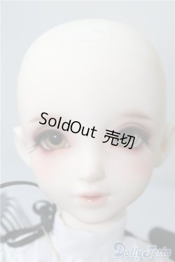 画像2: SD女の子/F-85　ワンオフモデル A-24-12-10-220-NY-ZA