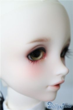 画像3: SD女の子/F-85 ワンオフモデル U-24-12-10-220-NY-ZU