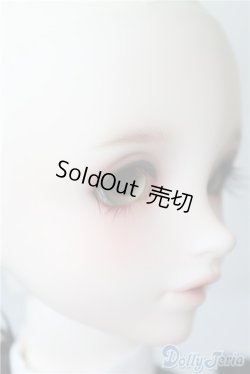 画像3: SD女の子/F-85　ワンオフモデル A-24-12-10-220-NY-ZA