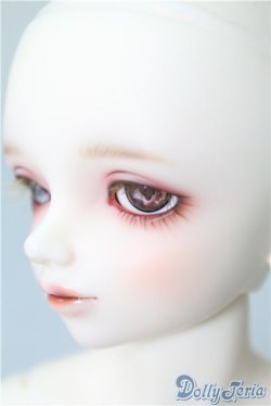 画像4: SDM男の子/エリック:星間学寮ver U-24-12-17-213-NY-ZU