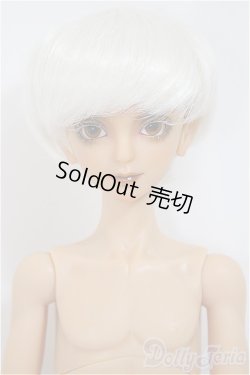 画像1: Gem of Doll /Carlos Human Ver./BJD 球体関節人形 A-25-01-22-148-NY-ZA