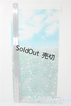 画像2: 撮影背景用小物3点 A-25-07-30-1058-KD-ZU